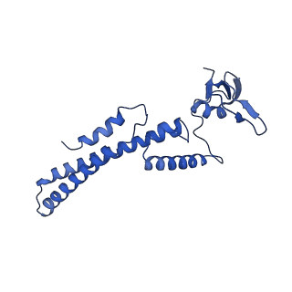 13494_7plo_D_v1-1
H. sapiens replisome-CUL2/LRR1 complex
