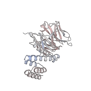 13494_7plo_H_v1-1
H. sapiens replisome-CUL2/LRR1 complex
