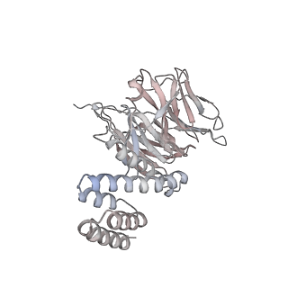 13494_7plo_H_v3-0
H. sapiens replisome-CUL2/LRR1 complex