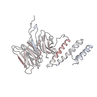 13494_7plo_J_v1-1
H. sapiens replisome-CUL2/LRR1 complex