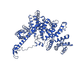 13494_7plo_K_v1-1
H. sapiens replisome-CUL2/LRR1 complex