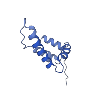 13494_7plo_L_v1-1
H. sapiens replisome-CUL2/LRR1 complex