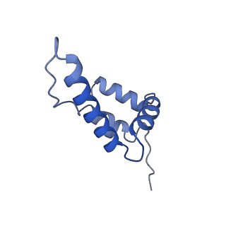 13494_7plo_L_v3-0
H. sapiens replisome-CUL2/LRR1 complex