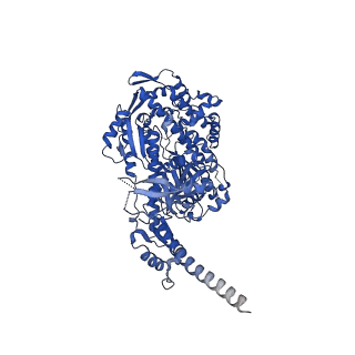 13501_7plt_A_v1-0
Cryo-EM structure of the actomyosin-V complex in the rigor state (central 1er)