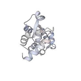 13501_7plt_B_v1-0
Cryo-EM structure of the actomyosin-V complex in the rigor state (central 1er)