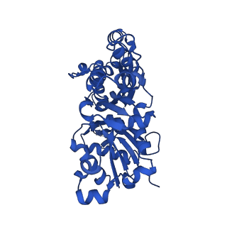 13501_7plt_C_v1-0
Cryo-EM structure of the actomyosin-V complex in the rigor state (central 1er)