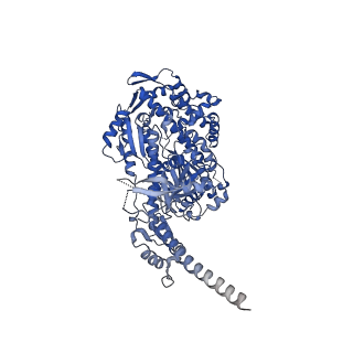 13502_7plu_A_v1-0
Cryo-EM structure of the actomyosin-V complex in the rigor state (central 3er/2er)