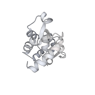 13502_7plu_B_v1-0
Cryo-EM structure of the actomyosin-V complex in the rigor state (central 3er/2er)