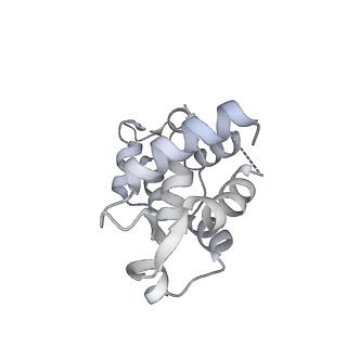 13502_7plu_E_v1-0
Cryo-EM structure of the actomyosin-V complex in the rigor state (central 3er/2er)