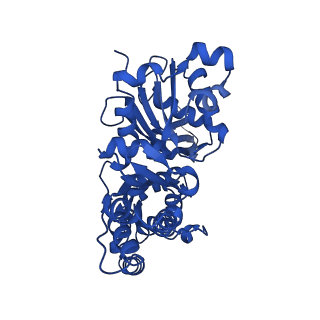 13502_7plu_F_v1-0
Cryo-EM structure of the actomyosin-V complex in the rigor state (central 3er/2er)