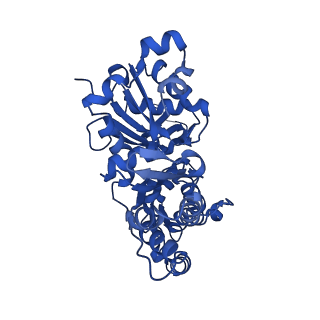 13502_7plu_G_v1-0
Cryo-EM structure of the actomyosin-V complex in the rigor state (central 3er/2er)