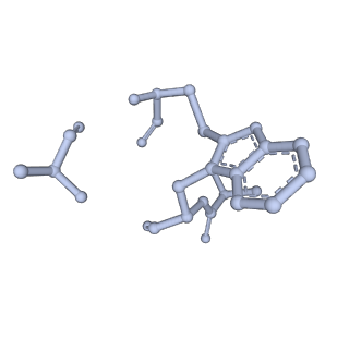 13502_7plu_H_v1-0
Cryo-EM structure of the actomyosin-V complex in the rigor state (central 3er/2er)