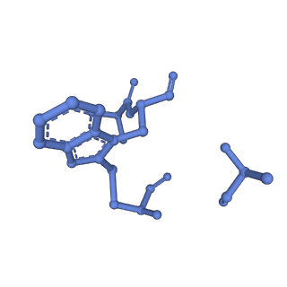 13502_7plu_I_v1-0
Cryo-EM structure of the actomyosin-V complex in the rigor state (central 3er/2er)