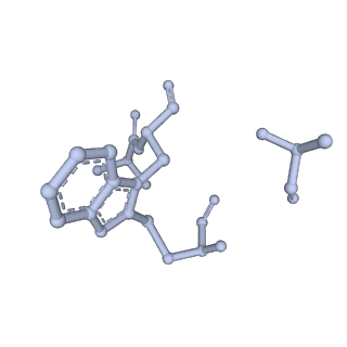13502_7plu_J_v1-0
Cryo-EM structure of the actomyosin-V complex in the rigor state (central 3er/2er)