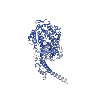 13503_7plv_A_v1-0
Cryo-EM structure of the actomyosin-V complex in the rigor state (central 1er, class 1)