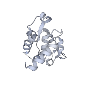 13503_7plv_B_v1-0
Cryo-EM structure of the actomyosin-V complex in the rigor state (central 1er, class 1)
