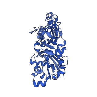 13503_7plv_C_v1-0
Cryo-EM structure of the actomyosin-V complex in the rigor state (central 1er, class 1)