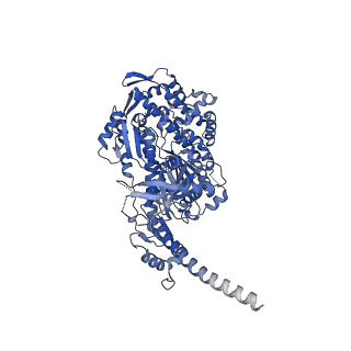 13504_7plw_A_v1-0
Cryo-EM structure of the actomyosin-V complex in the rigor state (central 1er, class 2)