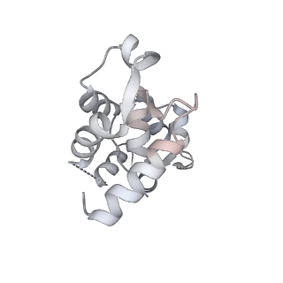 13504_7plw_B_v1-0
Cryo-EM structure of the actomyosin-V complex in the rigor state (central 1er, class 2)