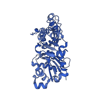 13504_7plw_C_v1-0
Cryo-EM structure of the actomyosin-V complex in the rigor state (central 1er, class 2)
