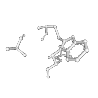 13504_7plw_H_v1-0
Cryo-EM structure of the actomyosin-V complex in the rigor state (central 1er, class 2)
