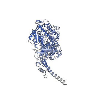 13505_7plx_A_v1-0
Cryo-EM structure of the actomyosin-V complex in the rigor state (central 1er, class 4)