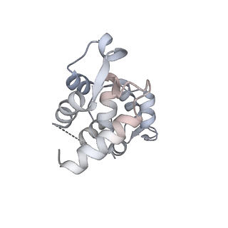 13505_7plx_B_v1-0
Cryo-EM structure of the actomyosin-V complex in the rigor state (central 1er, class 4)