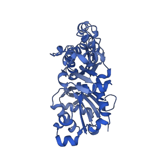 13505_7plx_C_v1-0
Cryo-EM structure of the actomyosin-V complex in the rigor state (central 1er, class 4)
