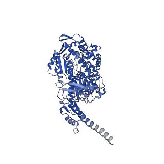 13506_7ply_A_v1-0
Cryo-EM structure of the actomyosin-V complex in the rigor state (central 1er, young JASP-stabilized F-actin)