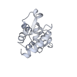 13506_7ply_B_v1-0
Cryo-EM structure of the actomyosin-V complex in the rigor state (central 1er, young JASP-stabilized F-actin)