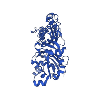 13506_7ply_C_v1-0
Cryo-EM structure of the actomyosin-V complex in the rigor state (central 1er, young JASP-stabilized F-actin)