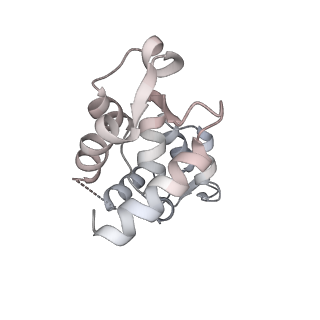 13507_7plz_B_v1-0
Cryo-EM structure of the actomyosin-V complex in the rigor state (central 3er/2er, young JASP-stabilized F-actin)