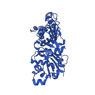 13507_7plz_C_v1-0
Cryo-EM structure of the actomyosin-V complex in the rigor state (central 3er/2er, young JASP-stabilized F-actin)