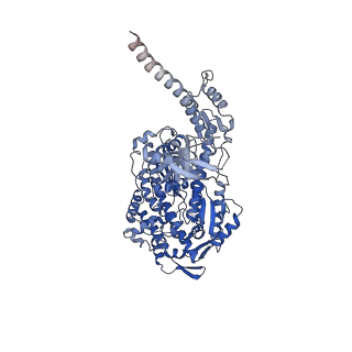 13507_7plz_D_v1-0
Cryo-EM structure of the actomyosin-V complex in the rigor state (central 3er/2er, young JASP-stabilized F-actin)