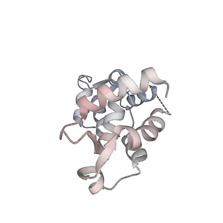 13507_7plz_E_v1-0
Cryo-EM structure of the actomyosin-V complex in the rigor state (central 3er/2er, young JASP-stabilized F-actin)
