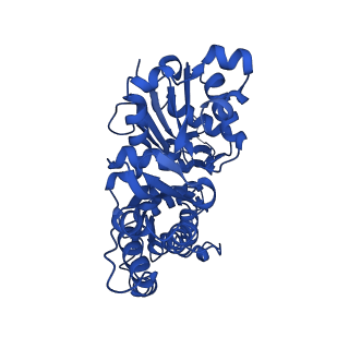 13507_7plz_F_v1-0
Cryo-EM structure of the actomyosin-V complex in the rigor state (central 3er/2er, young JASP-stabilized F-actin)