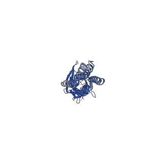 20373_6plr_B_v1-1
CryoEM structure of zebra fish alpha-1 glycine receptor bound with glycine in nanodisc, desensitized state