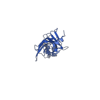 20374_6pls_B_v1-1
CryoEM structure of zebra fish alpha-1 glycine receptor bound with taurine in nanodisc, desensitized state