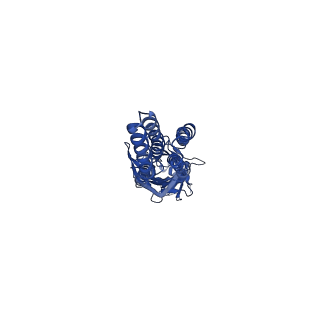 20375_6plt_B_v1-1
CryoEM structure of zebra fish alpha-1 glycine receptor bound with taurine in nanodisc, closed state