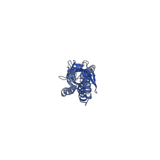 20376_6plu_E_v1-1
CryoEM structure of zebra fish alpha-1 glycine receptor bound with GABA in nanodisc, desensitized state