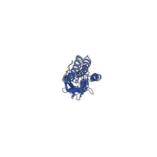 20377_6plv_B_v1-1
CryoEM structure of zebra fish alpha-1 glycine receptor bound with GABA in nanodisc, closed state