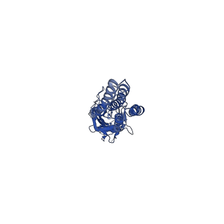 20377_6plv_B_v2-0
CryoEM structure of zebra fish alpha-1 glycine receptor bound with GABA in nanodisc, closed state