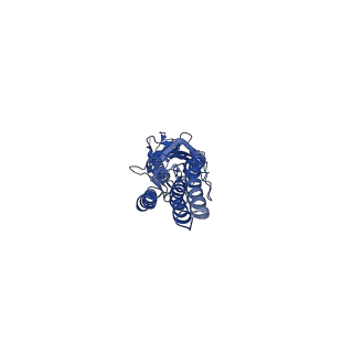 20377_6plv_E_v1-1
CryoEM structure of zebra fish alpha-1 glycine receptor bound with GABA in nanodisc, closed state