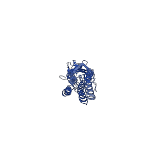20377_6plv_E_v2-0
CryoEM structure of zebra fish alpha-1 glycine receptor bound with GABA in nanodisc, closed state
