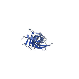 20379_6plx_A_v1-1
CryoEM structure of zebra fish alpha-1 glycine receptor bound with GABA in SMA, desensitized state