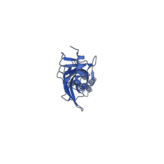 20379_6plx_B_v1-1
CryoEM structure of zebra fish alpha-1 glycine receptor bound with GABA in SMA, desensitized state