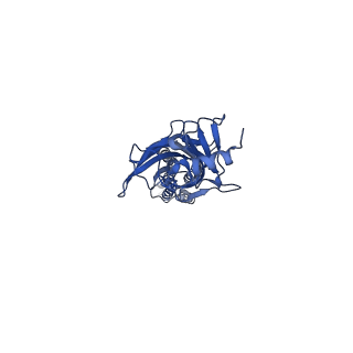 20379_6plx_C_v1-1
CryoEM structure of zebra fish alpha-1 glycine receptor bound with GABA in SMA, desensitized state