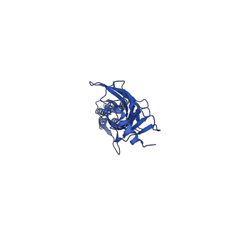 20379_6plx_D_v1-1
CryoEM structure of zebra fish alpha-1 glycine receptor bound with GABA in SMA, desensitized state