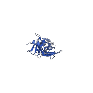 20380_6ply_B_v1-1
CryoEM structure of zebra fish alpha-1 glycine receptor bound with GABA in SMA, open state