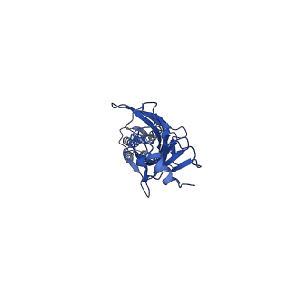 20380_6ply_E_v1-1
CryoEM structure of zebra fish alpha-1 glycine receptor bound with GABA in SMA, open state